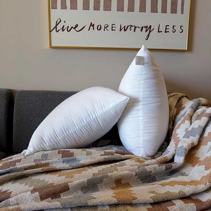 26 x 26 Outdoor Pillow Insert Large Throw Pillow Inserts Pack of 2 Water Resistant Patio Furniture Pillows Decorative Porch Couch Pillows Premium Square Sofa Pillow, White