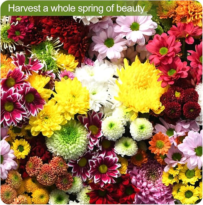 160000+ Wildflower Seeds Planting - 4oz Varieties Including Sunflower, Lavender, Zinnia & More, Attracts Bees & Butterflies, High Germination Rate, Easy to Grow for Garden, Balcony