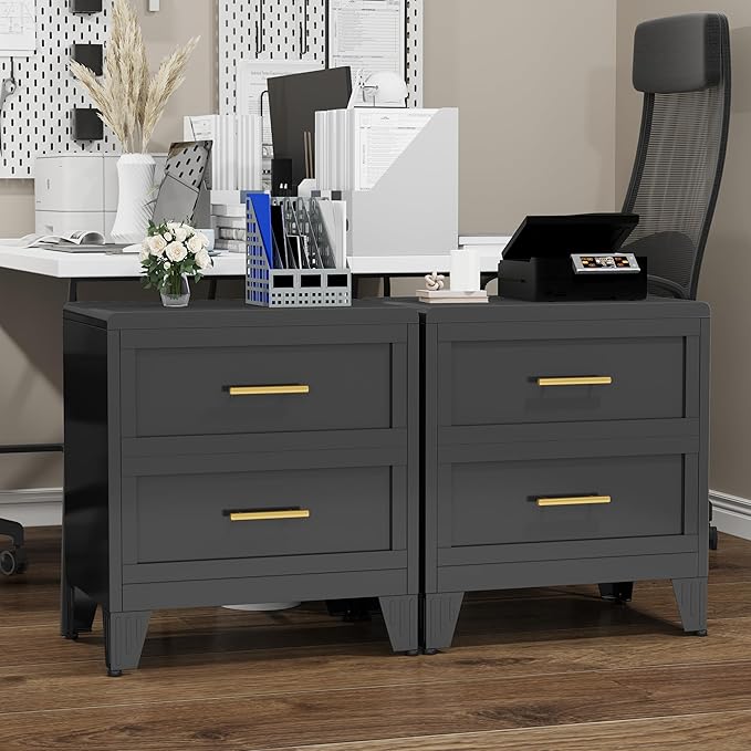 Metal Dresser Narrow Dresser for Bedroom Chest, 26.42" H Drawer Chest, Closet Dressers & Chests of Drawers for Living Room, Hallway (2 Drawers Black 24inch Wide)