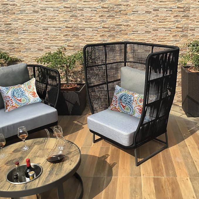 Outdoor Lumbar Pillows Waterproof Set of 2 Decorative Pillows with Inserts 12×20 Inch Outdoor Pillow for Patio Furniture (Paisley Print)