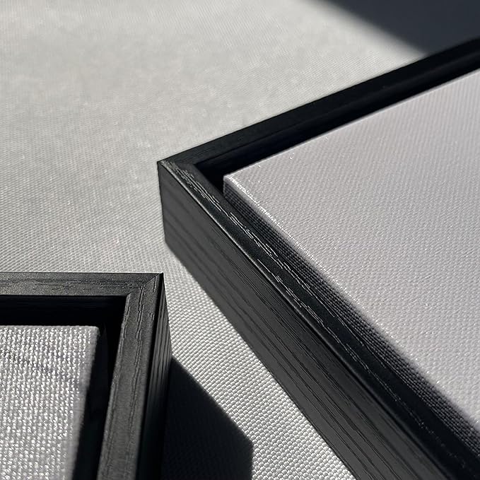 Pogusmavi Framed Wall Art for Living Room - Colorful Abstract Canvas Wall Art - Glass Paintings for Wall Decorations - Large Wall Decor - Art Work for Office Contemporary Home 29×58in