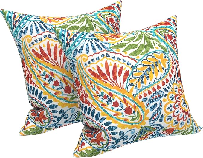 LVTXIII Outdoor Throw Pillow Covers 18 x 18 Inch, Covers ONLY Modern Paisley Pattern Decorative Square Toss Pillow Case Pack of 2 for Home Patio Garden Sofa Bed Furniture, Paisley Multi