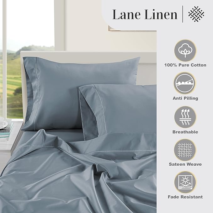 LANE LINEN Pillows Queen Size Set of 2 Soft 100% Egyptian Cotton Cool & Smooth 1000 Thread Count Pillow Cases - French Blue