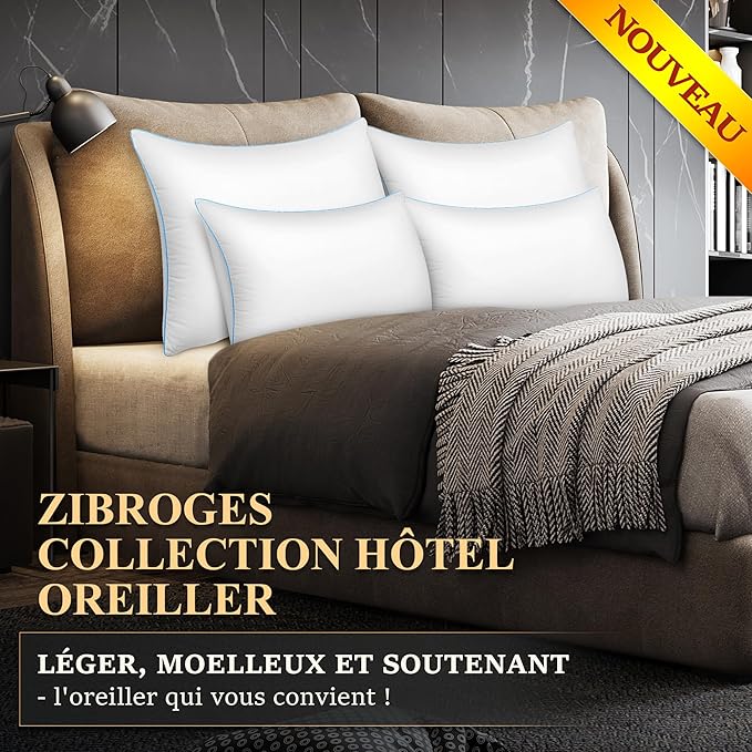 DP01 Bed Pillow, Throw 60x60cm Set of 2, Sky Blue Side 2 Count