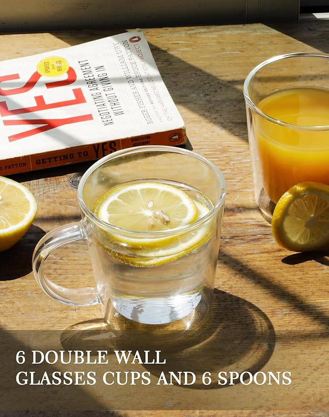 LIBWYS 12oz Double Wall Glass Coffee Mugs, Cappuccino Latte Tea Cups with Handle, Heat Resistant Borosilicate Insulated Clear Glasses (Set of 6)