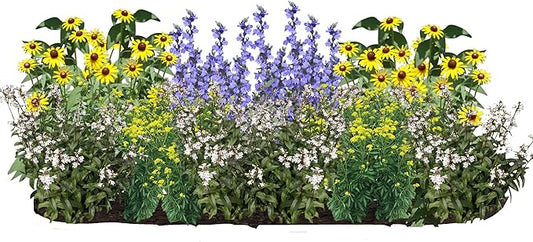16 Outdoor Native Plants for Full Sun & Wet Ground – Includes Brown-Eyed Susan, Golden Alexanders, Smooth Penstemon & Great Blue Lobelia – Not Seeds – 4–8” Tall on Arrival – Easy to Grow Perennials