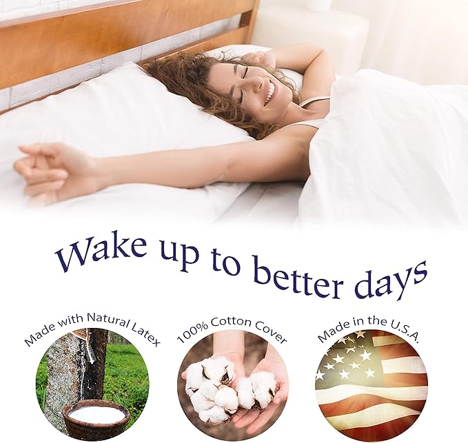 RejuveNite® American Talalay Latex Pillows - Medium Support, Standard High Profile, Dual Set - 100% Cotton Sateen Covers – Made in USA
