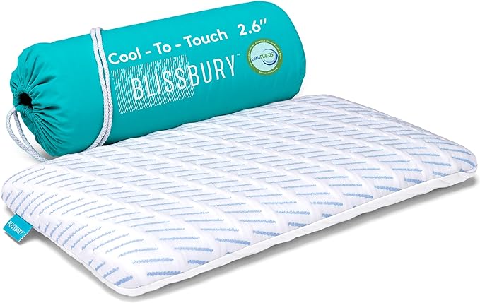 BLISSBURY Cooling Memory Foam Pillow, 2.6 Inch Thin, for Stomach & Back Sleeper, Queen Size, Removable Cool-Tech Cover, CertiPUR-US Certified