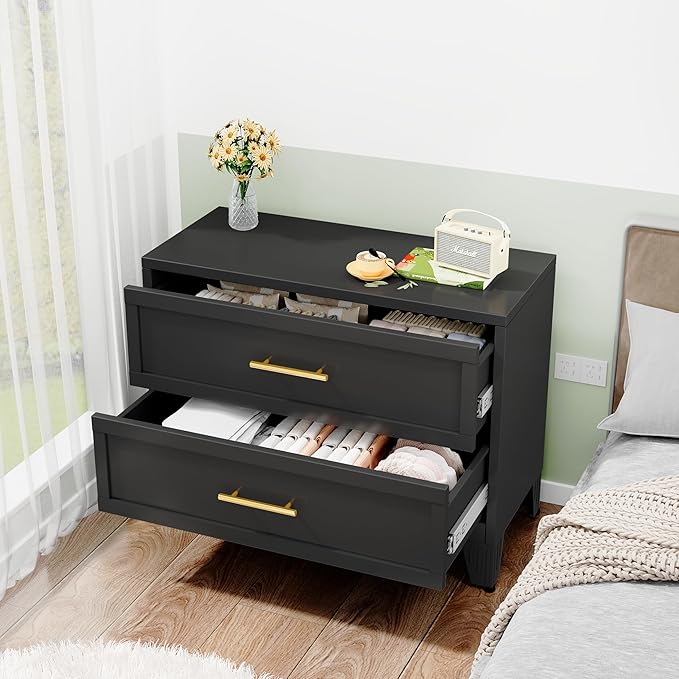 Metal Dresser for Bedroom 2 Drawers Dresser Metal Storage Dressers Organizer,24.8" H Black Drawer Chest, Closet Organizers for Living Room, Hallway, Closet