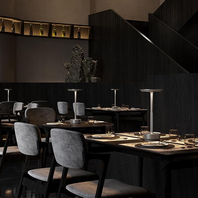 Rechargeable Cordless Table Lamps, Portable 5000mAh Battery Table Light, 3 Color Stepless Dimming LED Table Light with Memory Function, for Outdoor/Dinner/Patio/Restaurant.(Silver)