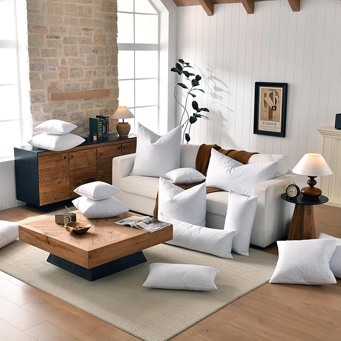 20x20 Decorative Throw Pillow Inserts-Down Feather Pillow Inserts-Square-Cotton Fabric-Set of 2-White.