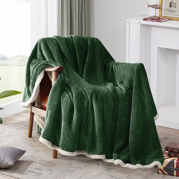 BEAUTEX Sherpa Fleece Throw Blankets, Soft Fluffy Flannel Plush Blanket and Throw, Fuzzy Cozy Green Cuddle Blankets for Couch Bed Sofa Adults (50" x 60", SageGreen)