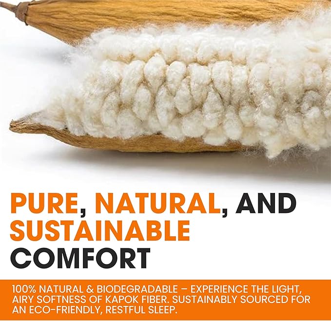 Cheer Collection Set of 2 Organic Kapok Bed Pillows, Natural Kapok Fiber Filled Sleeping Pillows with Breathable Cotton Shell, Standard Size, 20 x 28 inches