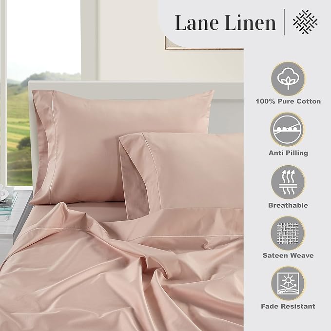 LANE LINEN Pillows Queen Size Set of 2 Soft 100% Egyptian Cotton Cool & Smooth 1000 Thread Count Pillow Cases - Sepia Rose