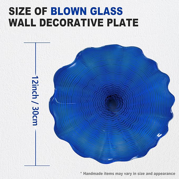 Hand Blown Glass Wall Plates Decor, Modern Unique Glass Wall Art, Murano Blown Glass Wall Art with Transparent and Easy to Clean for Staircase, Living Room, Kitchen, Hallway