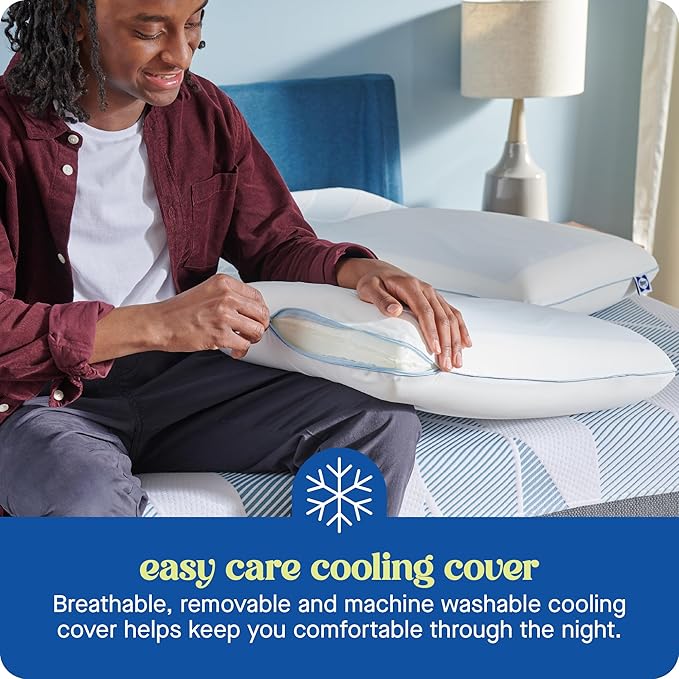 Sealy Dreamlife Memory Foam Gel, King, White Pillow