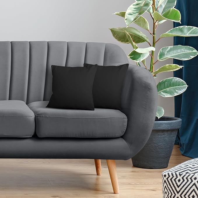 Utopia Bedding Throw Pillows Insert (Pack of 2, Black) - 16 x 16 Inches Bed and Couch Pillows - Indoor Decorative Pillow