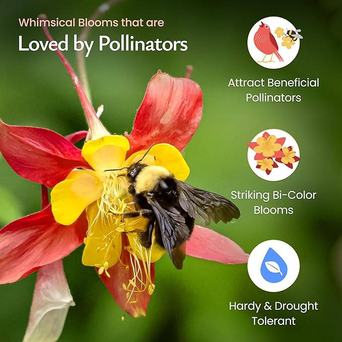 Created By Nature Red Columbine Flower Seeds, 1,450 Seeds, Perennial Wildflowers