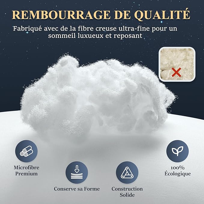 DP01 Bed Pillow, Throw 60x60cm Set of 2, Sky Blue Side 2 Count