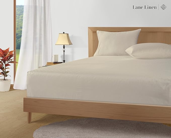 LANE LINEN Pillows Queen Size Set of 2, Soft 100% Egyptian Cotton, Cool & Smooth Pillow Cases - Swiss Dot - Ivory