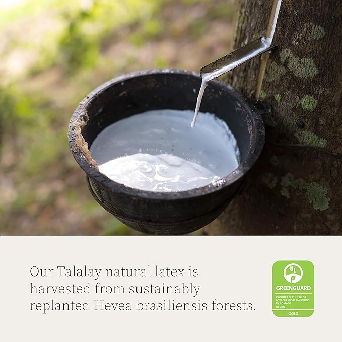 Coop Home Goods Adjustable Latex Pillow King, with Talalay Latex & Microfiber Fill, Best Pillows for Sleeping, Naturally Cooling, Eco-Friendly, Medium Firm Pillow for Back, Stomach or Side Sleepers