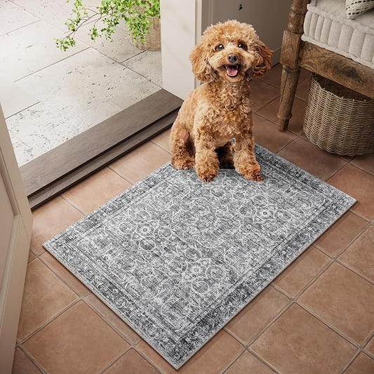 Washable 2'x3' Non Slip Rug Vintage Soft Low Pile Lightweight Boho Area Rugs for High-Traffic Areas (Entryway, Kitchen, Hallway), Farmhouse Decor