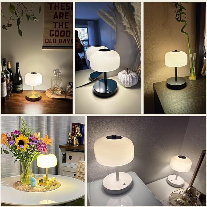 Oneach 9in Cordless LED Mushroom Table Lamp Touch 3 Way Dimmable Bedside Small Lamp Battery Operated Rechargeable Modern Nightstand Desk Lamp for Bedroom Living Room Restaurant White(2 Pack)