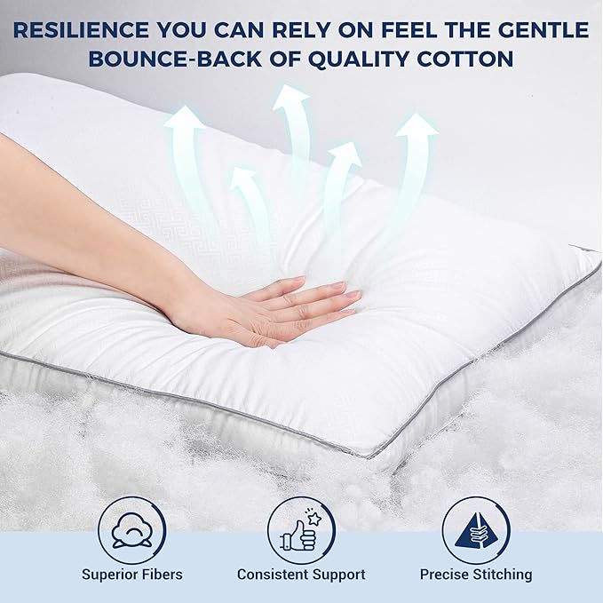Bed Pillows Queen Size Set of 2 for Sleeping, Cooling Gusseted Pillows Hotel Quality, Soft Down Alternative Plump Filling for Back, Stomach or Side Sleepers, 19 x 29 Inches