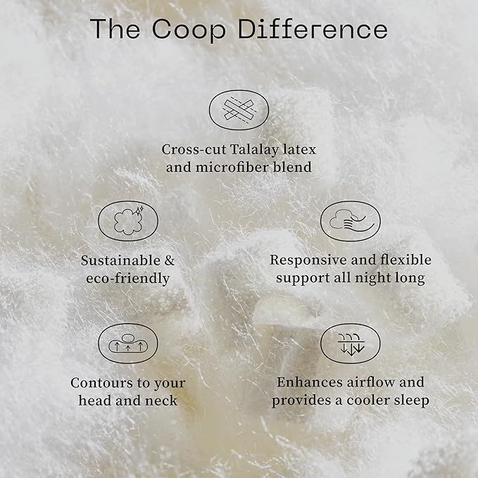 Coop Home Goods Adjustable Latex Pillow Queen, with Talalay Latex & Microfiber Fill, Best Pillows for Sleeping, Naturally Cooling, Eco-Friendly, Medium Firm Pillow for Back, Stomach or Side Sleepers