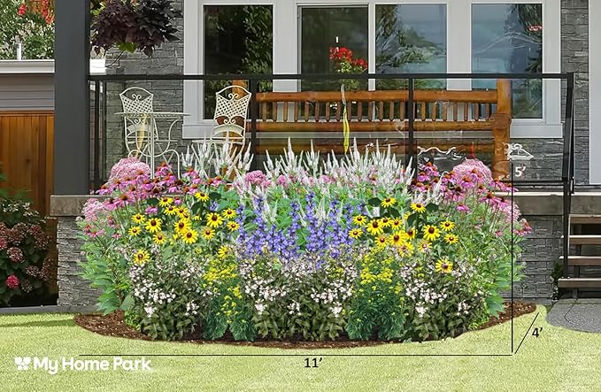 32 Outdoor Native Plants for Full Sun & Wet Ground – Includes Brown-Eyed Susan, Sweet Joe Pye Weed, Purple Coneflower & More – Not Seeds – 4–8” Tall on Arrival – Easy to Grow Perennials