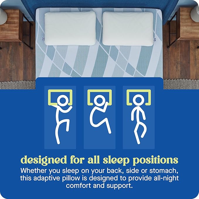 Sealy Dreamlife King Size Memory Foam Cooling Surface Guard Technology, Removable Machine-Washable Cover, 1 Year Warranty, White Pillow