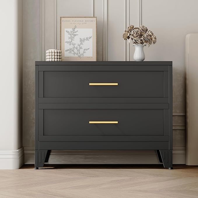 Metal Dresser for Bedroom 2 Drawers Dresser Metal Storage Dressers Organizer,24.8" H Black Drawer Chest, Closet Organizers for Living Room, Hallway, Closet