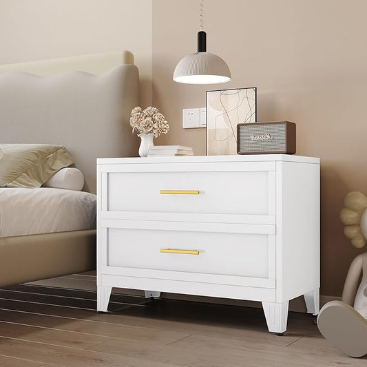 24.8" Tall Metal Dresser for Bedroom, 2 Drawer Nightstand, Side Table, Under Desk Steel Storage Drawer Cabinet, File Drawer for Home Office,Living Room, Entryway, Hallway