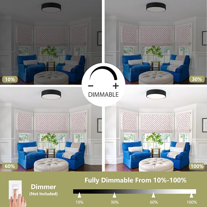 Modern Flush Mount Ceiling Light, 2-Lights Black Ceiling Light, Minimalistic Ceiling Lamp Acrylic Shade Lighting Fixture for Bedroom Laundry Room Foye Hallway(11.8 Inch)