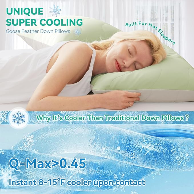 Three Geese Cooling Goose Feather Down Pillows Queen Size Set of 2, Q-Max>0.45, Cool Hotel Bed Pillows for Hot Sleepers and Side Stomach Back Sleepers, Washable Removable Cover, 20" x 30"