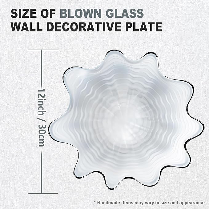 Hand Blown Glass Wall Plates Decor, Modern Unique Glass Wall Art, Murano Blown Glass Wall Art with Transparent and Easy to Clean for Staircase, Living Room, Kitchen, Hallway