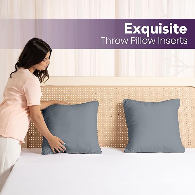 Utopia Bedding Throw Pillows Insert (Pack of 2, Grey) - 20 x 20 Inches Bed and Couch Pillows - Indoor Decorative Pillow