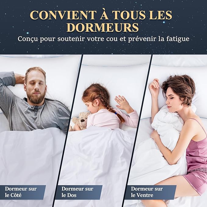 DP01 Bed Pillow, Throw 60x60cm Set of 2, Sky Blue Side 2 Count