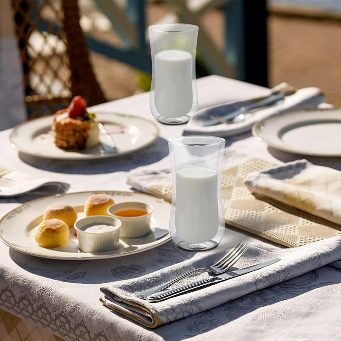 Joeyan Glass Double Walled Beer Drinking Glasses Tumbler, Double Layer Tall Borosilicate Insulated Water Cocktail Glass Cups, Double Lined Thermo Tea Coffee Hot Beverage Glassware 12 oz, Set of 2