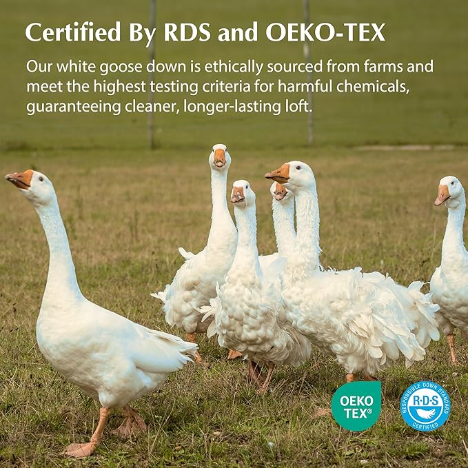 Pacific Coast White Goose Down Pillow, Hotel Bed Pillow for Sleeping, Certified by RDS and Oeko, Suit for Back and Stomach Sleepers, Queen Size