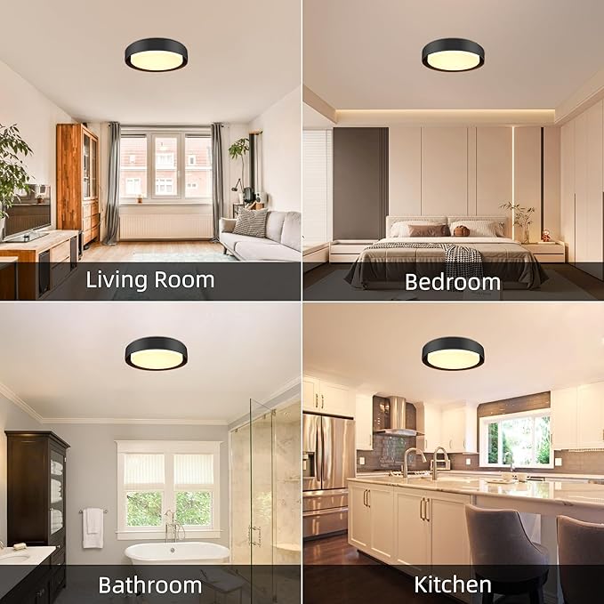 Hlite 10 inch Ceiling Light Fixture,Modern LED Flush Mount Ceiling Light,3000K/Warm White/20W,Dimmable 1600LM Rustic Indoor Room Decorative Ceiling Lights for Bedroom Kitchen, Black(2 Pack)