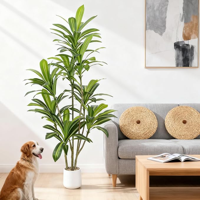 Artificial Dracaena Tree 6FT Tall, Realistic Faux Indoor Floor Plant for Home & Office Decor, White Round Planter with Decorative Stones – UPBUD