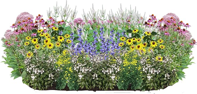 32 Outdoor Native Plants for Full Sun & Wet Ground – Includes Brown-Eyed Susan, Sweet Joe Pye Weed, Purple Coneflower & More – Not Seeds – 4–8” Tall on Arrival – Easy to Grow Perennials