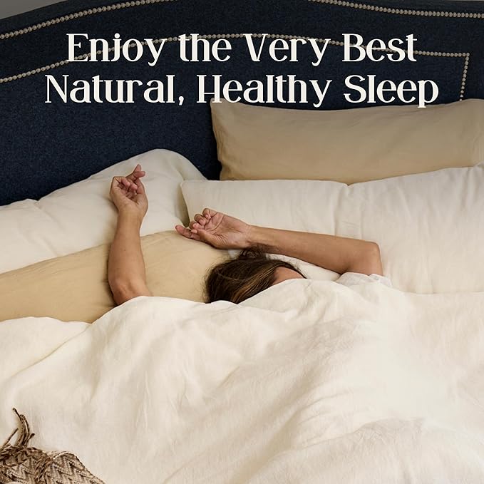 WOOLROOM All Natural Latex Bed Pillow Queen Size - Pressure Relieving Latex Pillow - Molds to Your Head - Encased in Handcrafted Traceable Machine Washable British Wool Organic Cotton Champagne Cover