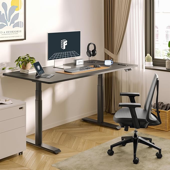 FLEXISPOT E6 Pro Oval Leg Dual Motor 3 Stages Standing Desk 48x30 Inch Whole-Piece Board Electric Height Adjustable Electric Sit Stand Up Desk 150KG Load Capacity (Black Frame + Black Desktop)