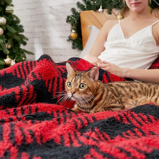 Cozy Bliss Ultra Soft Reversible Double Sherpa Sided Blanket, Buffalo Plaid Throw Blanket Fluffy Thick Warm Plush Fuzzy Blanket for Couch, Bed and Gifts (Red/Black Buffalo Check, 50" x 60")