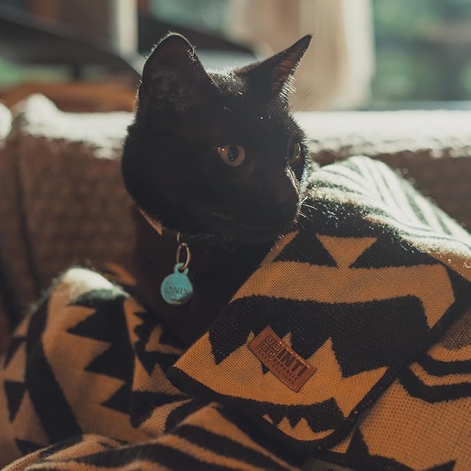 Reversible Alpaca Wool Blanket | Dual-Sided Queen Throw | Super Soft, Thick & Breathable | Cozy and Hypoallergenic Large Blanket for Bed, Couch, Camping or Gift | 95" L x 78" W