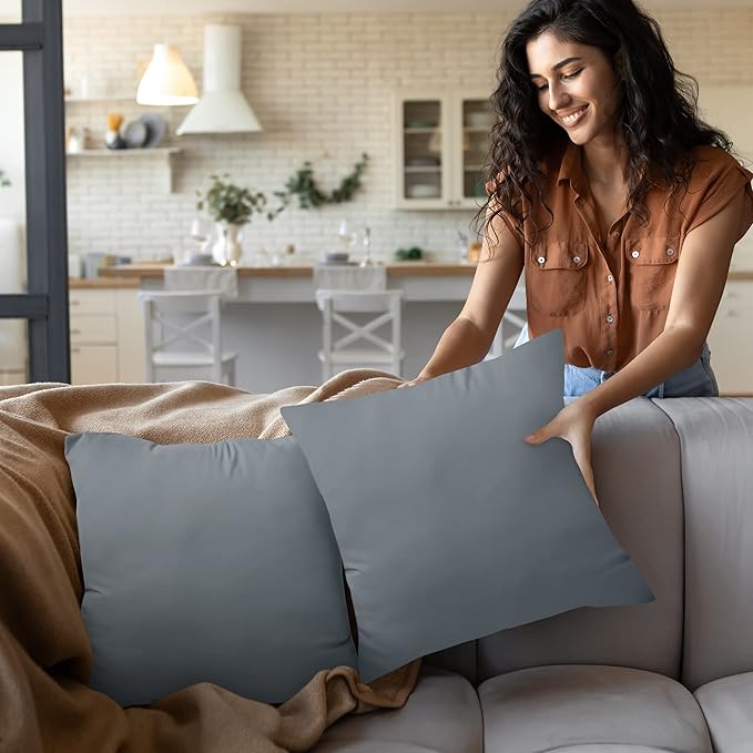Utopia Bedding Throw Pillows Insert (Pack of 2, Grey) - 20 x 20 Inches Bed and Couch Pillows - Indoor Decorative Pillow