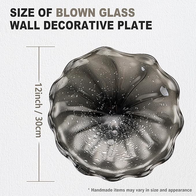 Hand Blown Glass Wall Plates Decor, Modern Unique Glass Wall Art, Murano Blown Glass Wall Art with Transparent and Easy to Clean for Staircase, Living Room, Kitchen, Hallway