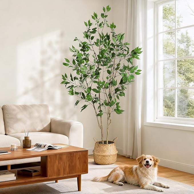 6FT Ficus Trees Artificial Indoor, Faux Silk Plant with Natural Wood Trunk and Lifelike Fruits, Black Imitation Ceramic Planter with Green Fake Moss for Modern Home Office Living Room Decor